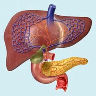 2026 NCH Hepatopancreatobiliary (HPB) Tumor Board (RSS) Banner